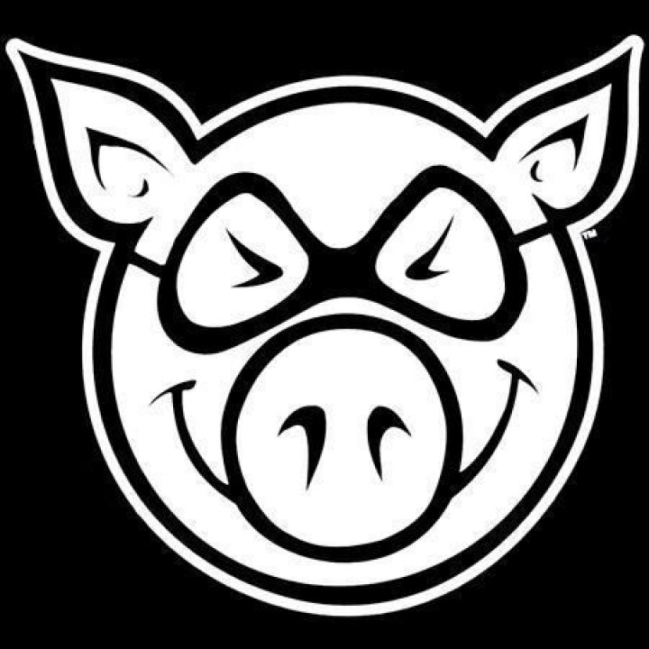 Pig