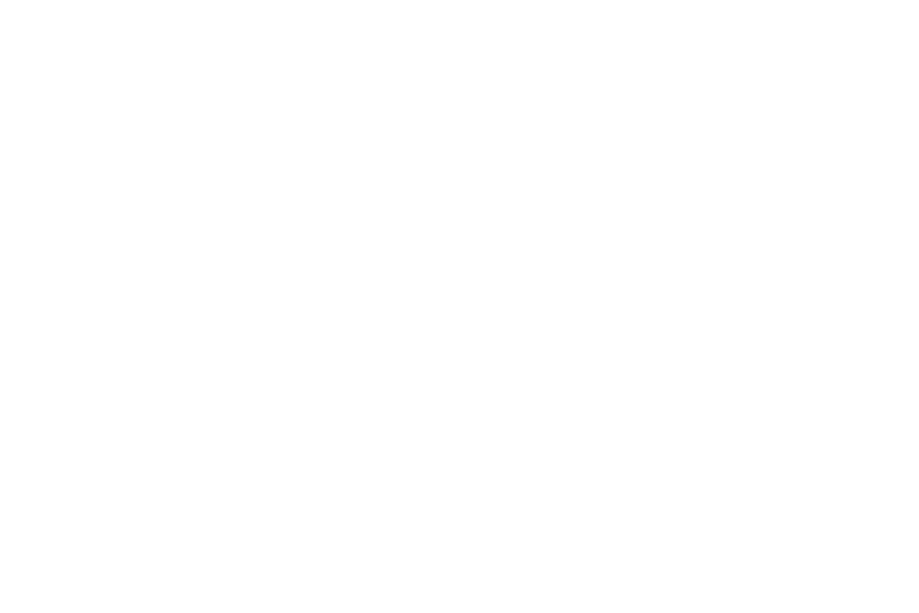 Rollerblade